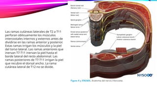 Bloqueo intercostal ecoguiado .........pptx