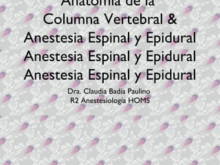 Anatomía de la
  Columna Vertebral &
Anestesia Espinal y Epidural
Anestesia Espinal y Epidural
Anestesia Espinal y Epidural
       Dra. Claudia Badía Paulino
       R2 Anestesiología HOMS
 
