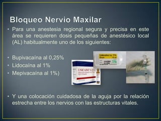 • Para una anestesia regional segura y precisa en este
área se requieren dosis pequeñas de anestésico local
(AL) habitualmente uno de los siguientes:
• Bupivacaína al 0,25%
• Lidocaína al 1%
• Mepivacaína al 1%)
• Y una colocación cuidadosa de la aguja por la relación
estrecha entre los nervios con las estructuras vitales.
 