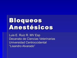 Bloqueos Anestésicos Luis E. Ruiz R. MV Esp Decanato de Ciencias Veterinarias  Universidad Centroccidental “ Lisandro Alvarado” 