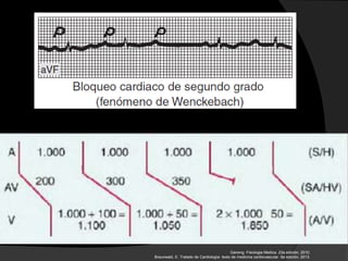 Ganong. Fisiologia Medica. 23a edición, 2010.
Braunwald, E. Tratado de Cardiología: texto de medicina cardiovascular. 9a edición, 2013.
 