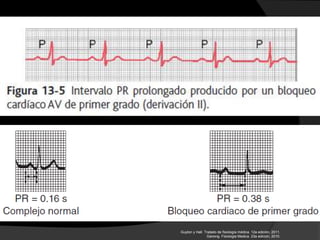 Guyton y Hall. Tratado de fisiología médica. 12a edición, 2011.
Ganong. Fisiologia Medica. 23a edición, 2010.
 
