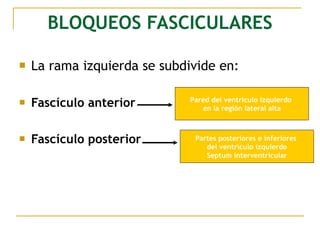 BLOQUEOS FASCICULARES
 La rama izquierda se subdivide en:
 Fascículo anterior
 Fascículo posterior
Pared del ventrículo izquierdo
en la región lateral alta
Partes posteriores e inferiores
del ventrículo izquierdo
Septum interventricular
 