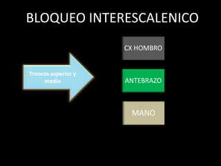 BLOQUEO INTERESCALENICO
CX HOMBRO
ANTEBRAZO
MANO
Troncos superior y
medio
 