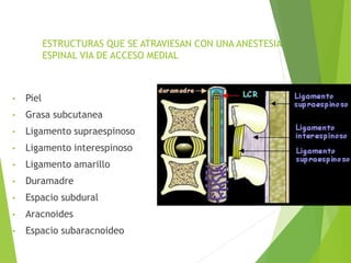 ESTRUCTURAS QUE SE ATRAVIESAN CON UNA ANESTESIA 
ESPINAL VIA DE ACCESO MEDIAL 
• Piel 
• Grasa subcutanea 
• Ligamento supraespinoso 
• Ligamento interespinoso 
• Ligamento amarillo 
• Duramadre 
• Espacio subdural 
• Aracnoides 
• Espacio subaracnoideo 
 