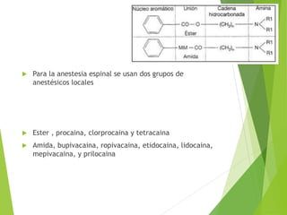  Para la anestesia espinal se usan dos grupos de 
anestésicos locales 
 Ester , procaina, clorprocaina y tetracaina 
 Amida, bupivacaina, ropivacaina, etidocaina, lidocaina, 
mepivacaina, y prilocaina 
 