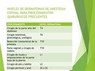 NIVELES DE DERMATOMAS DE ANESTESIA 
ESPINAL PARA PROCEDIMIENTOS 
QUIRURGICOS FRECUENTES 
PROCEDIMIENTO NIVEL DERMATOMA 
Cirugía de la parte alta del 
T4 
abdomen 
Cirugía intestinal, 
ginecológica, urológica 
T6 
Resección transuretral de la 
próstata 
T10 
Parto vaginal y cirugía de 
cadera 
T10 
Cirugía de muslo y 
amputaciones de la parte 
baja de la pierna 
L1 
Cirugía de pie y tobillo L2 
Cirugía perineal y anal S2 a S5 
 