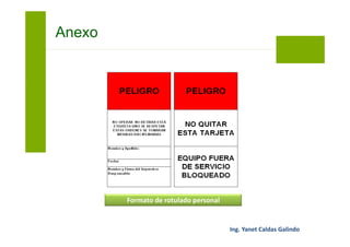 Anexo
Formato de rotulado grupal
 