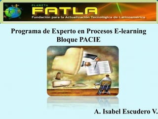 Programa de Experto en Procesos E-learning
Bloque PACIE
A. Isabel Escudero V.
 