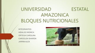 UNIVERSIDAD ESTATAL
AMAZONICA
BLOQUES NUTRICIONALES
INTEGRANTES:
HIDALGO MONICA
ORTEGA CAROLINA
CARCELEN SHARON
JARRIN ALEX
 