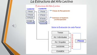 La Estructura del Año Lectivo