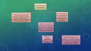 El conocimiento y
sus elementos
El proceso del conocimiento involucra
cuatro elementos: el sujeto
cognoscitivo, el objeto conocido, la
operación cognoscitiva y el
pensamiento o huella que permanece
en la mente y en la memoria.
El conocimiento
es el resultado de
una estructura
formada por tres
elementos:
Sujeto: Es la persona
que conoce, capta algún
aspecto de la realidad y
obtiene un pensamiento
utilizando sus sentidos.
Objeto: Es la
cosa o
fenómeno
conocido, lo que
se observa.
Representación mental: Es la
imagen del objeto que se
graba en la mente del sujeto,
percibiendo sus propiedades
a través de los sentidos
(tamaño, forma, color, etc.)
 