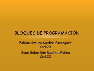 BLOQUES DE PROGRAMACIÓN

 Fabian Arturo Medina Pascagaza
             Cod:23
  Juan Sebastián Medina Molina
            Cod:22
 