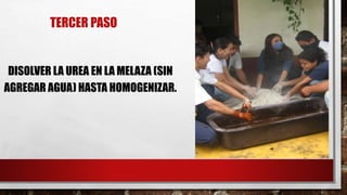 TERCER PASO
DISOLVER LA UREA EN LA MELAZA (SIN
AGREGAR AGUA) HASTA HOMOGENIZAR.
 