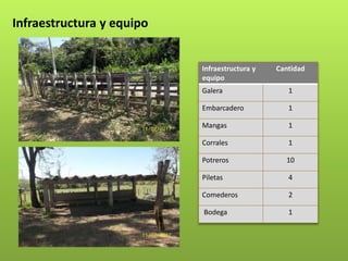 Infraestructura y
equipo
Cantidad
Galera 1
Embarcadero 1
Mangas 1
Corrales 1
Potreros 10
Piletas 4
Comederos 2
Bodega 1
Infraestructura y equipo
 