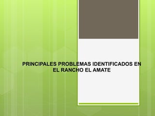PRINCIPALES PROBLEMAS IDENTIFICADOS EN
EL RANCHO EL AMATE
 