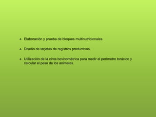  Elaboración y prueba de bloques multinutricionales.
 Diseño de tarjetas de registros productivos.
 Utilización de la cinta bovinométrica para medir el perímetro torácico y
calcular el peso de los animales.
 
