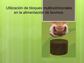Utilización de bloques multinutricionales
en la alimentación de bovinos.
 