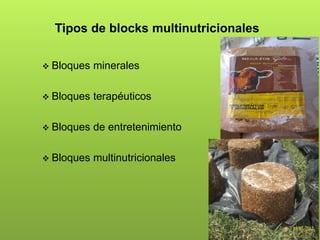 Tipos de blocks multinutricionales
 Bloques minerales
 Bloques terapéuticos
 Bloques de entretenimiento
 Bloques multinutricionales
 