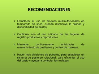 RECOMENDACIONES
 Establecer el uso de bloques multinutricionales en
temporada de seca, cuando disminuye la calidad y
disponibilidad de pastos.
 Continuar con el uso rutinario de las tarjetas de
registro productivo y reproductivo.
 Mantener continuamente actividades de
mantenimiento de pastizales y control de malezas.
 Hacer mas divisiones de potreros, para establecer un
sistema de pastoreo rotacional, para eficientar el uso
del pasto y ayudar a controlar las malezas.
 