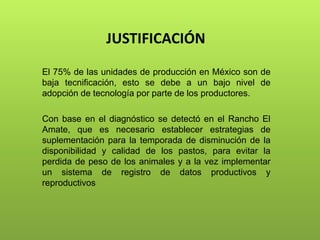 JUSTIFICACIÓN
El 75% de las unidades de producción en México son de
baja tecnificación, esto se debe a un bajo nivel de
adopción de tecnología por parte de los productores.
Con base en el diagnóstico se detectó en el Rancho El
Amate, que es necesario establecer estrategias de
suplementación para la temporada de disminución de la
disponibilidad y calidad de los pastos, para evitar la
perdida de peso de los animales y a la vez implementar
un sistema de registro de datos productivos y
reproductivos
 