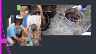 DISOLVER LA UREA CON LA MELAZA
 