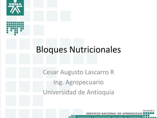 Bloques Nutricionales
Cesar Augusto Lascarro R
Ing. Agropecuario
Universidad de Antioquia

 