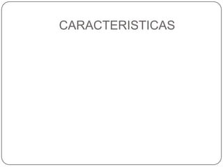 CARACTERISTICAS
 