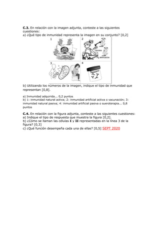 C.3. En relación con la imagen adjunta, conteste a las siguientes
cuestiones:
a) ¿Qué tipo de inmunidad representa la imagen en su conjunto? [0,2]
b) Utilizando los números de la imagen, indique el tipo de inmunidad que
representan [0,8].
a) Inmunidad adquirida... 0,2 puntos
b) 1: inmunidad natural activa; 2: inmunidad artificial activa o vacunación; 3:
inmunidad natural pasiva; 4: inmunidad artificial pasiva o sueroterapia... 0,8
puntos
C.4. En relación con la figura adjunta, conteste a las siguientes cuestiones:
a) Indique el tipo de respuesta que muestra la figura [0,2].
b) ¿Cómo se llaman las células I y II representadas en la línea 3 de la
figura? [0,3]
c) ¿Qué función desempeña cada una de ellas? [0,5] SEPT 2020
 