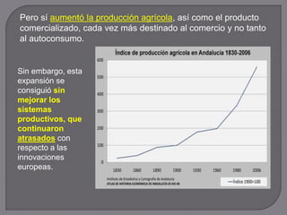 Pero sí aumentó la producción agrícola, así como el producto
comercializado, cada vez más destinado al comercio y no tanto
al autoconsumo.
Sin embargo, esta
expansión se
consiguió sin
mejorar los
sistemas
productivos, que
continuaron
atrasados con
respecto a las
innovaciones
europeas.
 