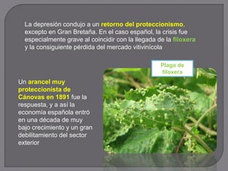 La depresión condujo a un retorno del proteccionismo,
excepto en Gran Bretaña. En el caso español, la crisis fue
especialmente grave al coincidir con la llegada de la filoxera
y la consiguiente pérdida del mercado vitivinícola
Plaga de
filoxera
Un arancel muy
proteccionista de
Cánovas en 1891 fue la
respuesta, y a así la
economía española entró
en una década de muy
bajo crecimiento y un gran
debilitamiento del sector
exterior
 