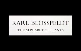 Blossfeldt_Karl.pdf