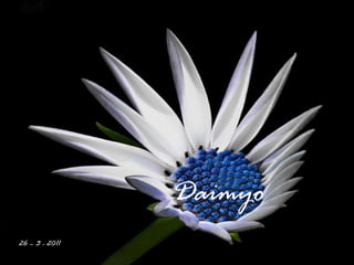 Daimyo
26 – 3 - 2011
 