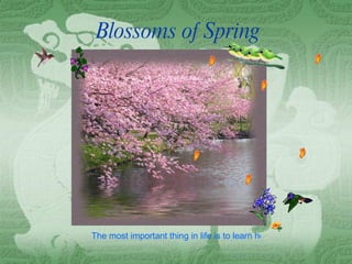 Blossoms of Spring The most important thing in life is to learn how to give out love, and to let it come in. 