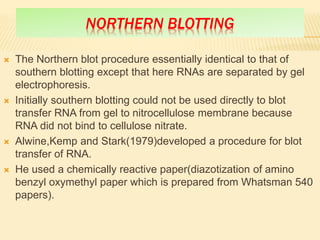 NORTHERN BLOTTING
 The Northern blot procedure essentially identical to that of
southern blotting except that here RNAs are separated by gel
electrophoresis.
 Initially southern blotting could not be used directly to blot
transfer RNA from gel to nitrocellulose membrane because
RNA did not bind to cellulose nitrate.
 Alwine,Kemp and Stark(1979)developed a procedure for blot
transfer of RNA.
 He used a chemically reactive paper(diazotization of amino
benzyl oxymethyl paper which is prepared from Whatsman 540
papers).
 