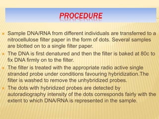 PROCEDURE
 Sample DNA/RNA from different individuals are transferred to a
nitrocellulose filter paper in the form of dots. Several samples
are blotted on to a single filter paper.
 The DNA is first denatured and then the filter is baked at 80c to
fix DNA firmly on to the filter.
 The filter is treated with the appropriate radio active single
stranded probe under conditions favouring hybridization.The
filter is washed to remove the unhybridized probes.
 The dots with hybridized probes are detected by
autoradiography intensity of the dots corresponds fairly with the
extent to which DNA/RNA is represented in the sample.
 