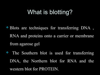 Blotting | PPT