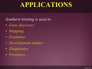APPLICATIONS
Southern blotting is used in:
• Gene discovery
• Mapping
• Evolution
• Development studies
• Diagnostics
• Forensics
 