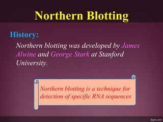 Northern Blotting
History:
Northern blotting was developed by James
Alwine and George Stark at Stanford
University.
Northern blotting is a technique for
detection of specific RNA sequences
 