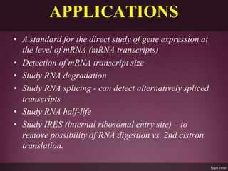 APPLICATIONS
• A standard for the direct study of gene expression at
the level of mRNA (mRNA transcripts)
• Detection of mRNA transcript size
• Study RNA degradation
• Study RNA splicing - can detect alternatively spliced
transcripts
• Study RNA half-life
• Study IRES (internal ribosomal entry site) – to
remove possibility of RNA digestion vs. 2nd cistron
translation.
 