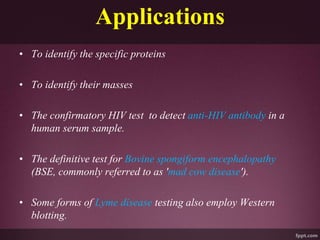 Applications
• To identify the specific proteins
• To identify their masses
• The confirmatory HIV test to detect anti-HIV antibody in a
human serum sample.
• The definitive test for Bovine spongiform encephalopathy
(BSE, commonly referred to as 'mad cow disease').
• Some forms of Lyme disease testing also employ Western
blotting.
 