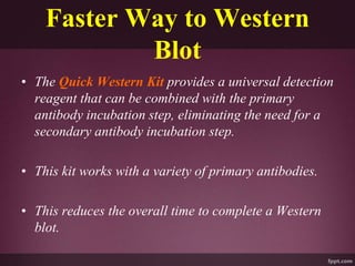 Faster Way to Western
Blot
• The Quick Western Kit provides a universal detection
reagent that can be combined with the primary
antibody incubation step, eliminating the need for a
secondary antibody incubation step.
• This kit works with a variety of primary antibodies.
• This reduces the overall time to complete a Western
blot.
 