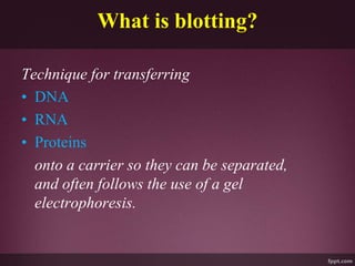 What is blotting?
Technique for transferring
• DNA
• RNA
• Proteins
onto a carrier so they can be separated,
and often follows the use of a gel
electrophoresis.
 