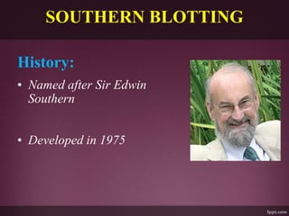 SOUTHERN BLOTTING
History:
• Named after Sir Edwin
Southern
• Developed in 1975
 