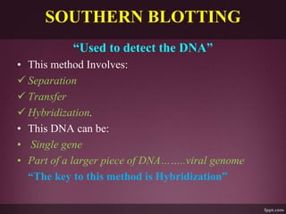 SOUTHERN BLOTTING
“Used to detect the DNA”
• This method Involves:
 Separation
 Transfer
 Hybridization.
• This DNA can be:
• Single gene
• Part of a larger piece of DNA……..viral genome
“The key to this method is Hybridization”
 