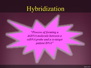 Hybridization
“Process of forming a
dsDNA molecule between a
ssDNA probe and a ss-target
patient DNA”
 