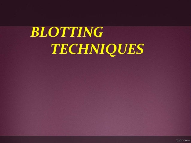 south eastern blotting south eastern blotting