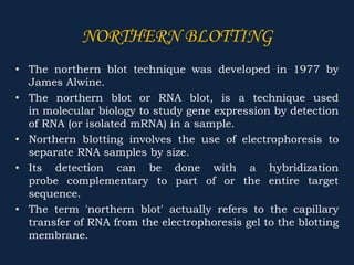• The northern blot technique was developed in 1977 by
James Alwine.
• The northern blot or RNA blot, is a technique used
in molecular biology to study gene expression by detection
of RNA (or isolated mRNA) in a sample.
• Northern blotting involves the use of electrophoresis to
separate RNA samples by size.
• Its detection can be done with a hybridization
probe complementary to part of or the entire target
sequence.
• The term 'northern blot' actually refers to the capillary
transfer of RNA from the electrophoresis gel to the blotting
membrane.
NORTHERN BLOTTING
 