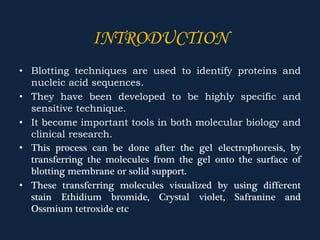 INTRODUCTION
• Blotting techniques are used to identify proteins and
nucleic acid sequences.
• They have been developed to be highly specific and
sensitive technique.
• It become important tools in both molecular biology and
clinical research.
• This process can be done after the gel electrophoresis, by
transferring the molecules from the gel onto the surface of
blotting membrane or solid support.
• These transferring molecules visualized by using different
stain Ethidium bromide, Crystal violet, Safranine and
Ossmium tetroxide etc
 