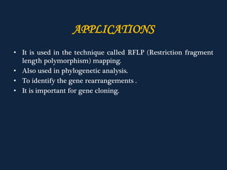 APPLICATIONS
• It is used in the technique called RFLP (Restriction fragment
length polymorphism) mapping.
• Also used in phylogenetic analysis.
• To identify the gene rearrangements .
• It is important for gene cloning.
 